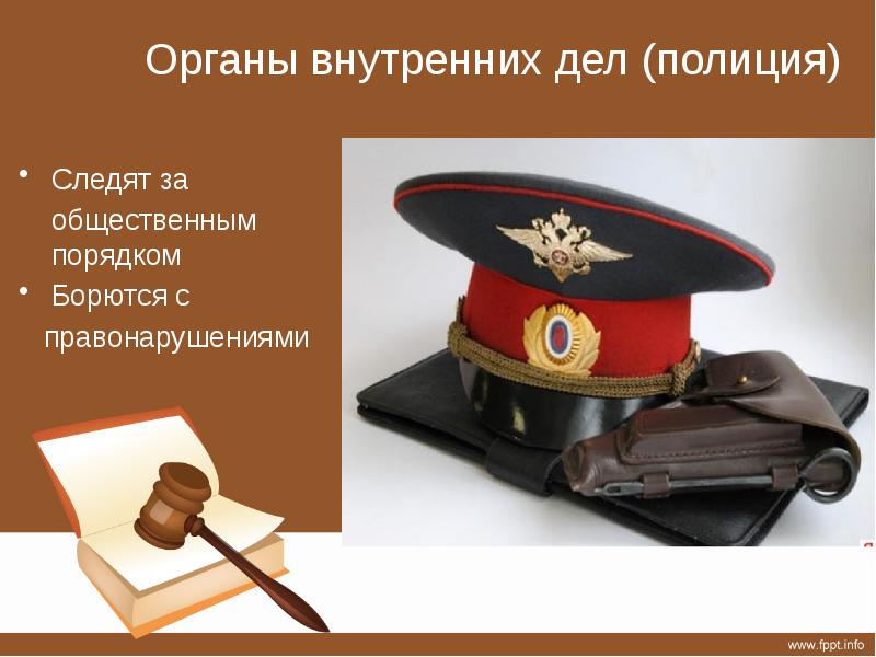 Внутренние органы полиции