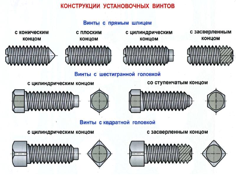 Виды винтов и болтов с картинками