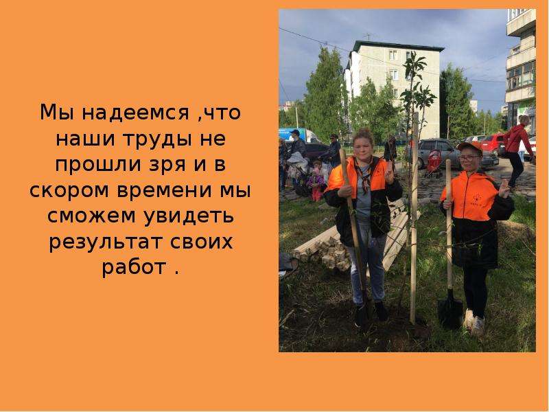 Презентация посадка деревьев