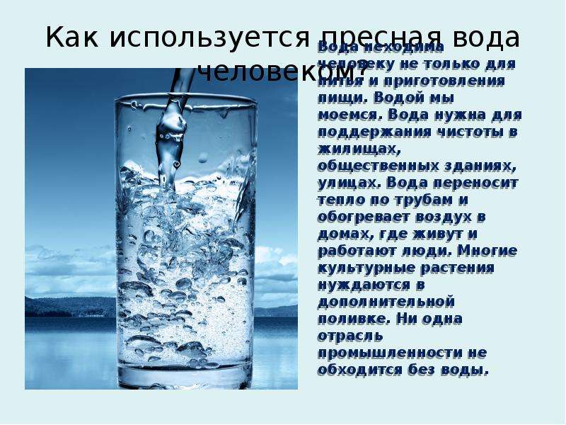 Какое значение в жизни человека имеет вода