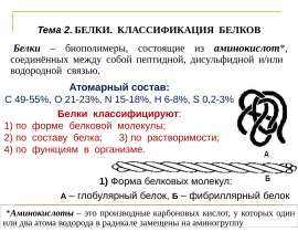 Белки. Классификация белков. (Тема 2)