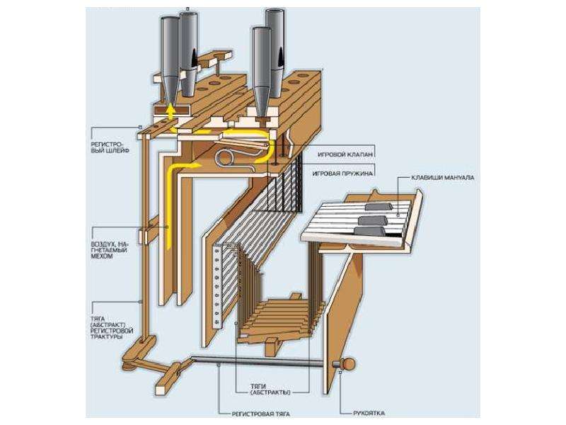Как работает орган. Строение органа музыкального инструмента. Устройство органа музыкального инструмента схема. Из чего состоит орган музыкальный инструмент. Строение органов.