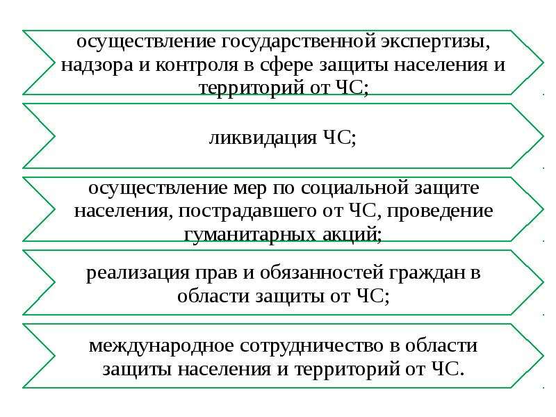 Меры по осуществлению государственной охраны. Осуществление государственной экспертизы надзора и контроля. Цели гос экспертизы ЧС.