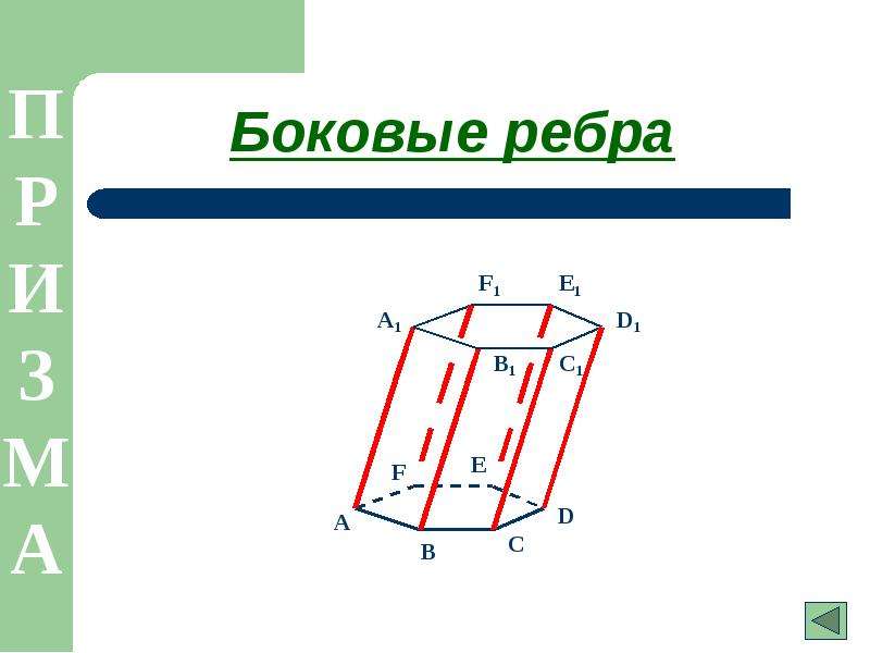 Боковое ребро