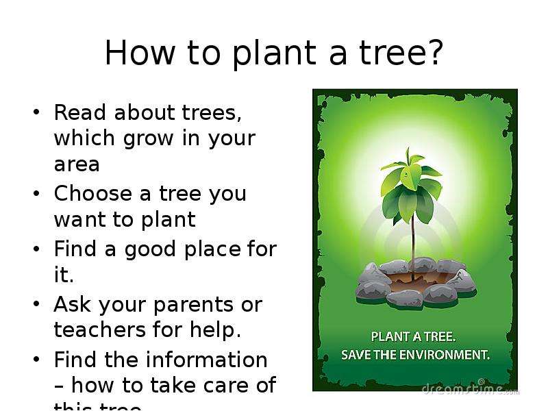 Lets plant. Environment презентация. Tree перевод. How to take Care of a Plant. On the Tree or in the Tree.