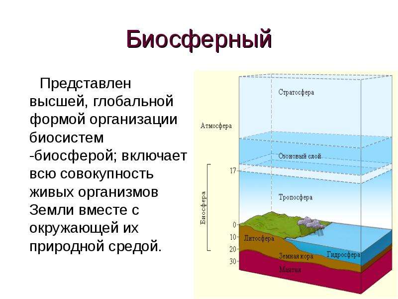 Проект охрана биосферы