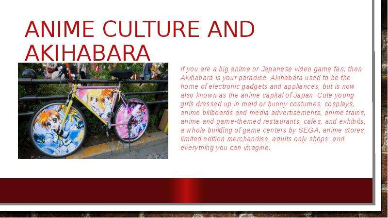 culture shock in japan essay