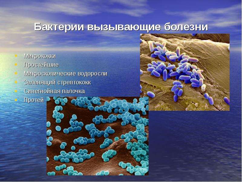 Вода презентация 8 класс химия