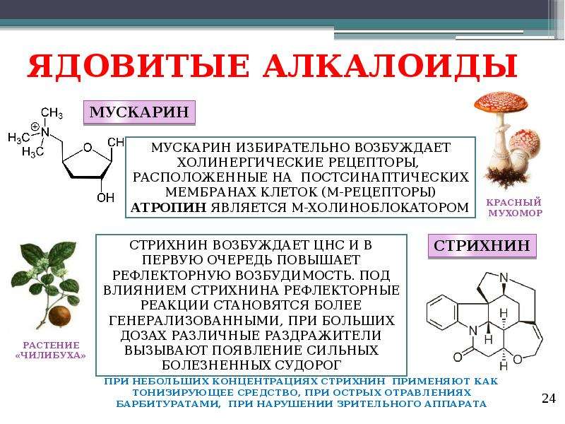 Кислоты растительного происхождения. Ядовитые алкалоиды. Алкалоид мускарин. Алкалоиды растительного происхождения. Алкалоиды это яд.