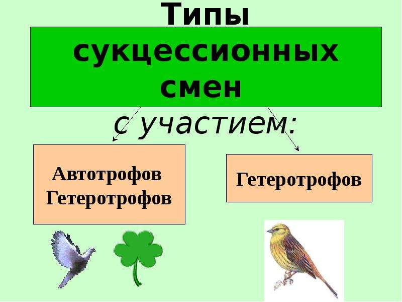 Презентация зарождение и смена биогеоценозов 10 класс презентация