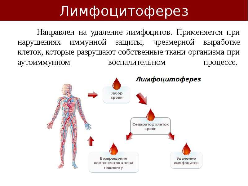 Нарушения иммунных процессов