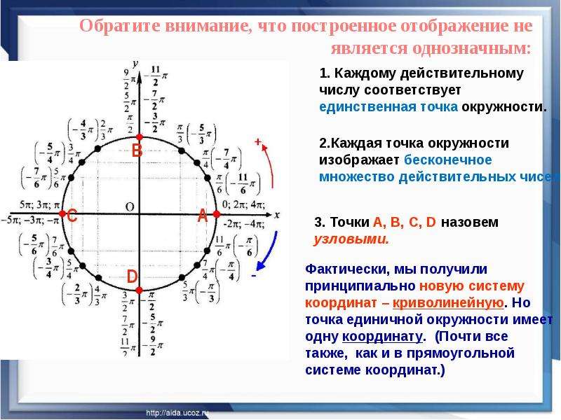 Тригонометрический круг знаки. Единичная окружность синус. Тригонометрические функции на единичной окружности. Единичная окружность тригонометрия синус косинус. Единичная окружность тригонометрия отрицательная.