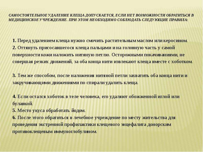 Презентация на тему обеспечение безопасности при встрече с дикими животными в природных условиях