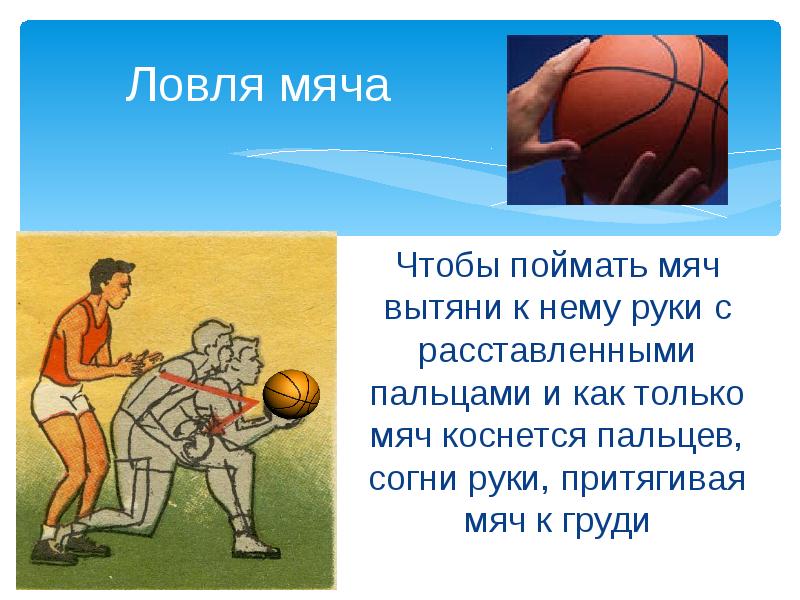 Этапы обучения баскетболу. Баскетбол методика. Баскетбол методика преподавания. Методика обучения баскетболу. Методика обучения баскетболу в школе.