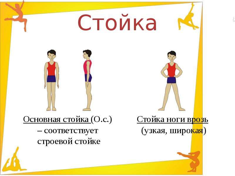 Стойка это. Основная стойка. Основная стойка в физкультуре. Исходное положение основная стойка. Основная стойка в гимнастике.