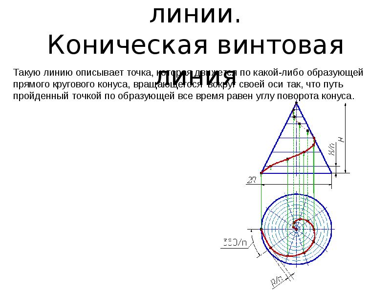 Средняя линия конуса