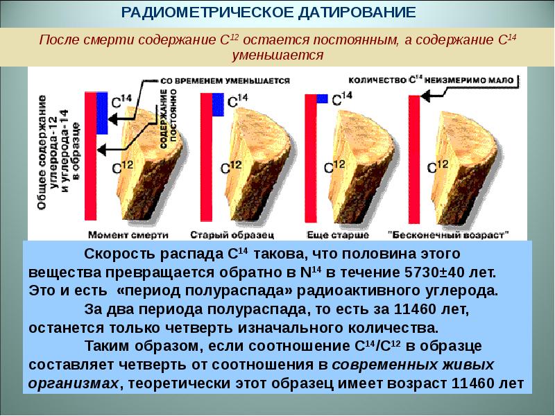 Радиоуглеродный анализ картинки