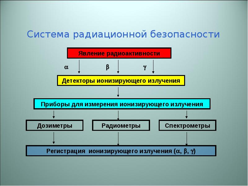 Принципиальный порядок изучения лучевого изображения