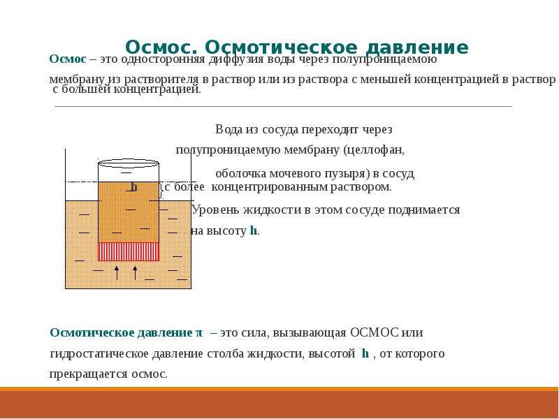 Осмотическое давление это простыми словами