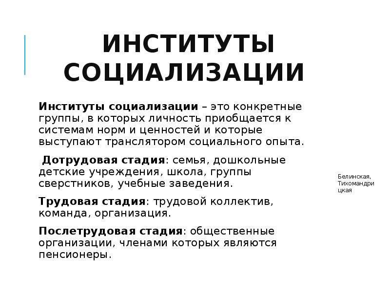 Институты социализации презентация