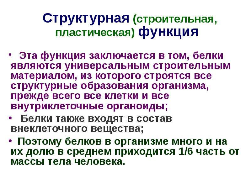 Пластические белки