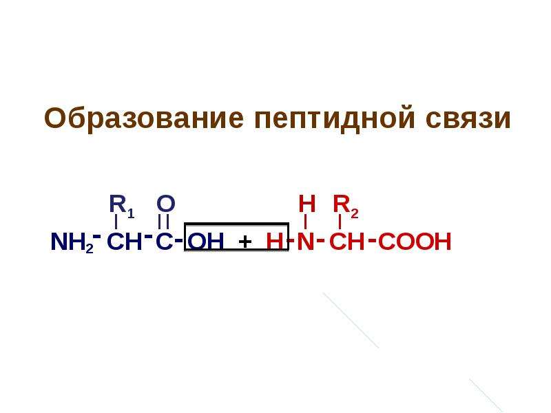 Ch c oh. Пептидная связь Cooh. Реакция образования пептида h2n Ch sh Cooh. Образование пептидной связи осуществляется за счет групп Cooh nh2.