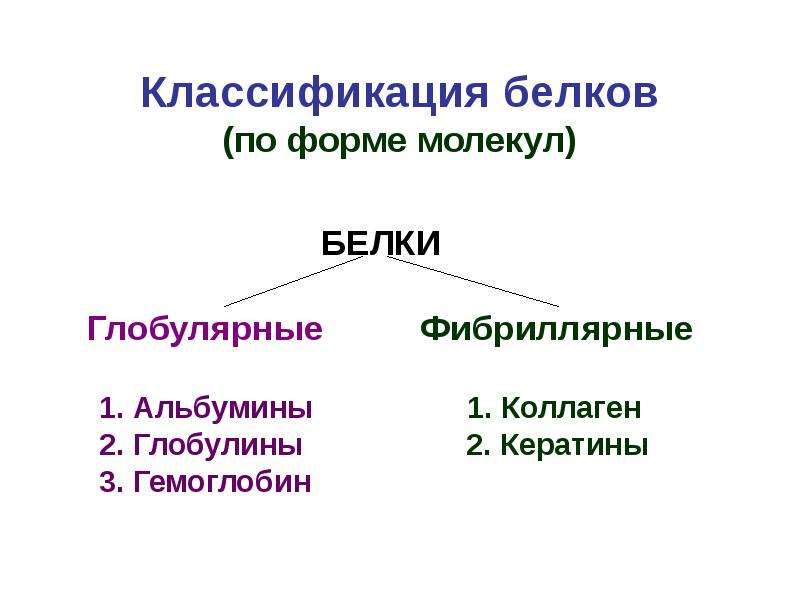 Классификация белков химия