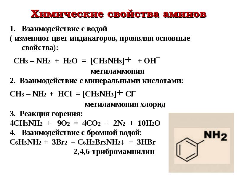 Химические свойства аминов 10 класс. Химические свойства Аминов. Физико химические свойства Аминов. Анилин h2 катализатор. Амины реагируют с кислотами.