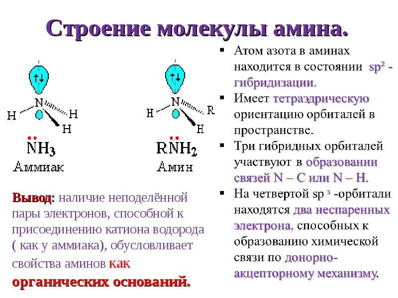 Получение аминов презентация