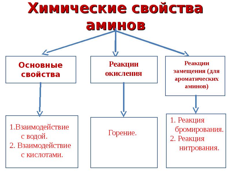 Презентация по теме амины