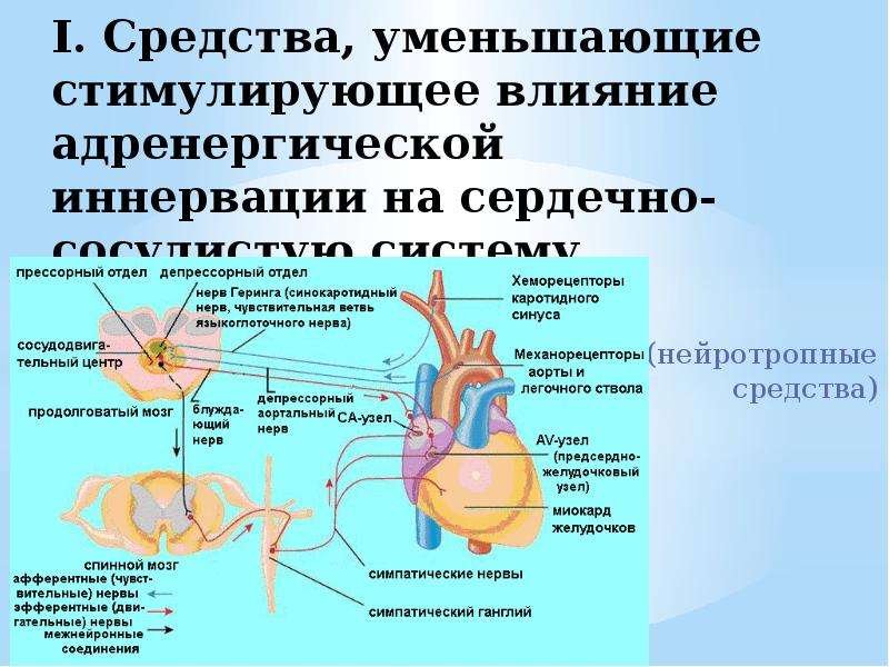 Стимулирующее влияние