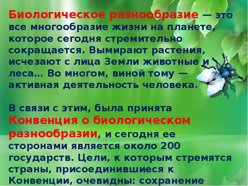 Причины утраты биологического разнообразия план конспект