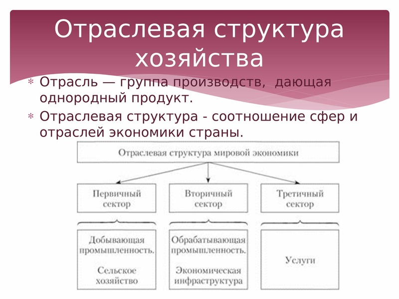 Структура хозяйства страны. Отраслевая структура хозяйства. Отраслевая структура экономики. Отраслевая структура хозяйства схема. Структура отраслей экономики.