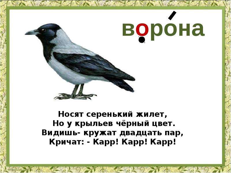 Включи ворону. Загадки про словарные слова. Загадка про ворону. Загадки про словарные слова 2 класс. Загадка про ворону 1 класс.