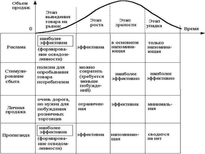 На каком этапе жизненного цикла экспортного проекта нужно уделять внимание маркетингу