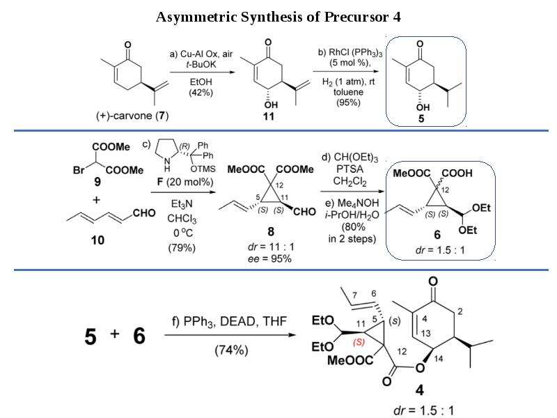 Synthesis. PTSA химия. Buok в химии. Gelsemine total Synthesis. Total Synthesis book.