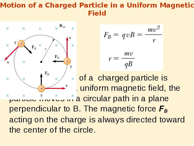 Magnetic field of the neutral zona