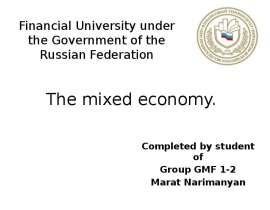 The mixed economy