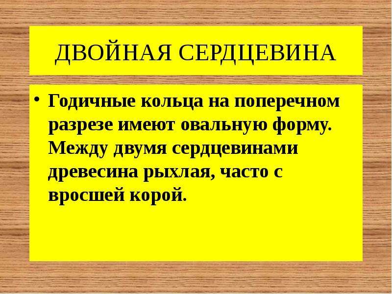 Двойная сердцевина