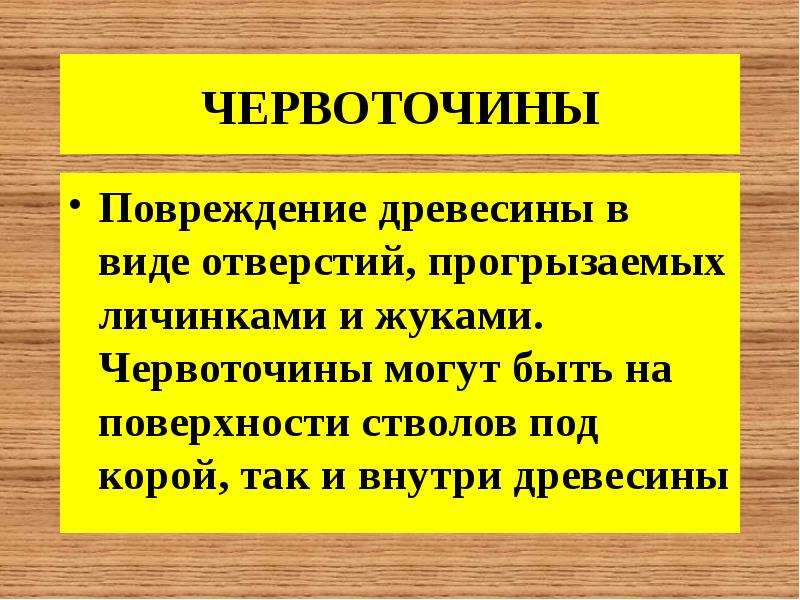 Пороки древесины 6 класс технология презентация