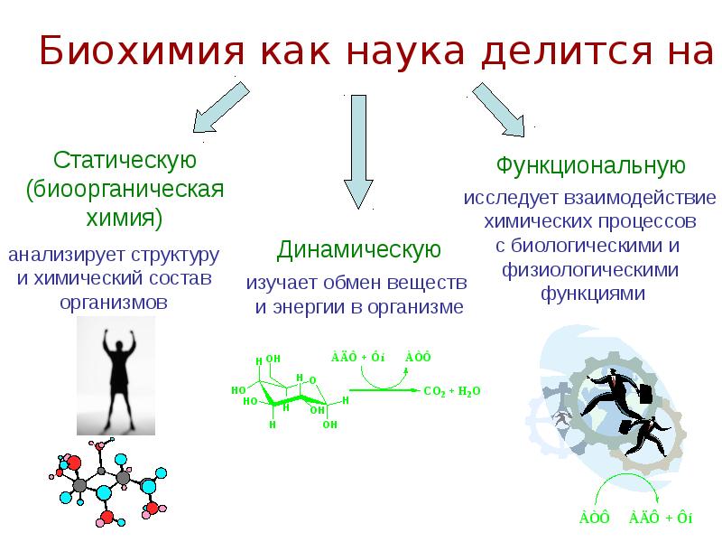 Фактор н