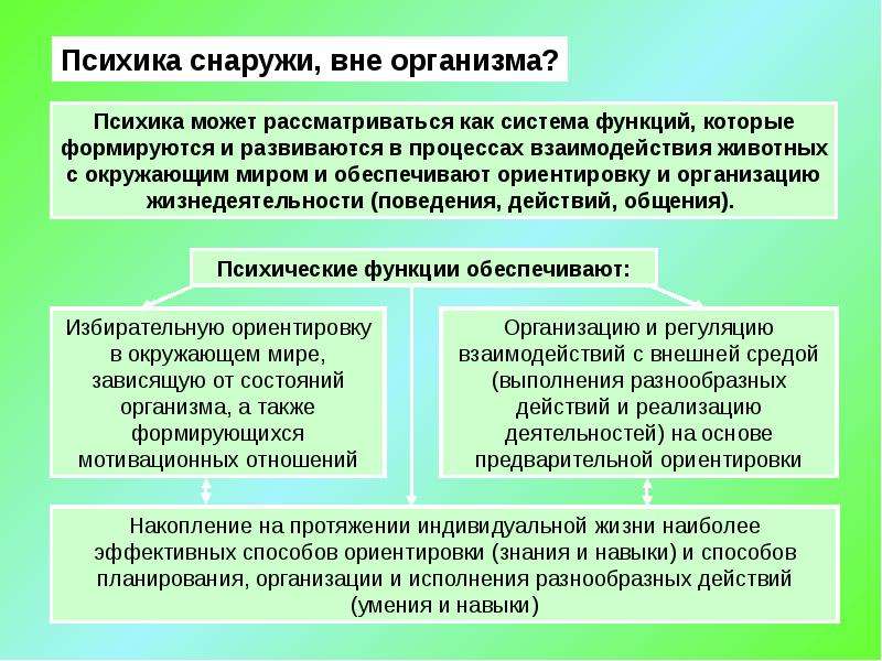 Для измерения способностей в психологии используются. Отечественная психология презентация. В Отечественной психологии деятельность это. Антиредукционизм в философии это. П И Зинченко психология памяти.