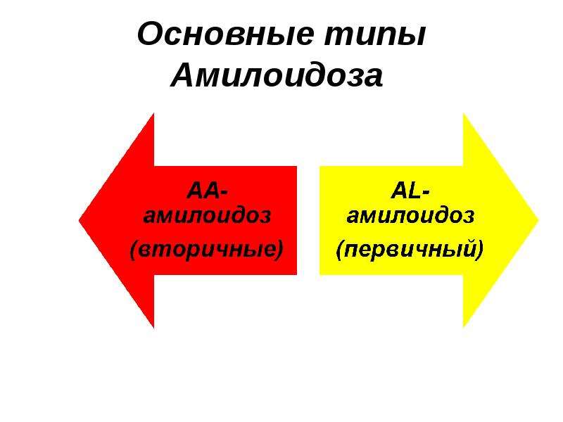 Основные типы Амилоидоза