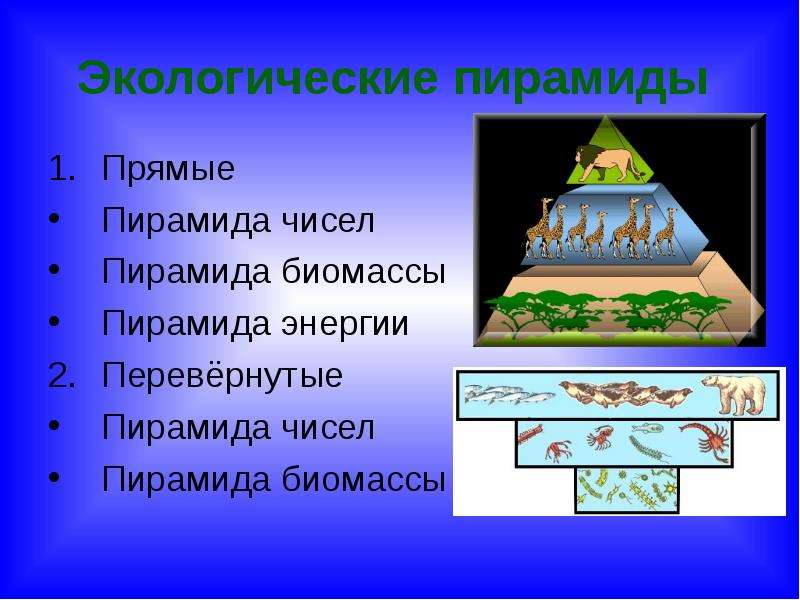 Экологическая пирамида перевернутая примеры