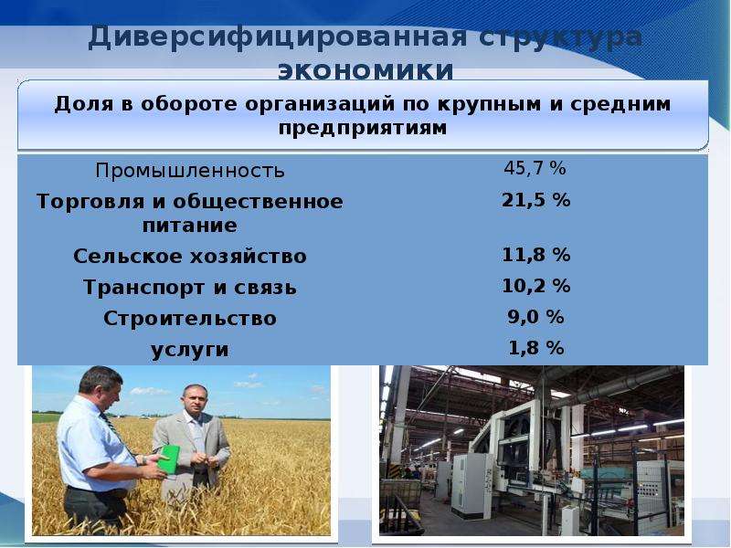 Инвестиционные ресурсы экономики. Полюса роста экономики. Отраслей экономики и привлекали инвестиции.. Диверсифицированная экономика.