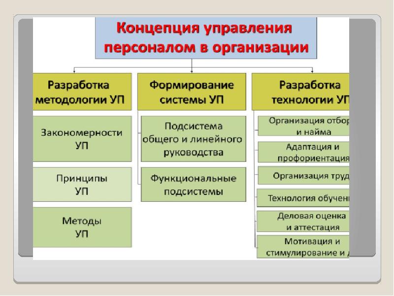 Понятие управления организацией