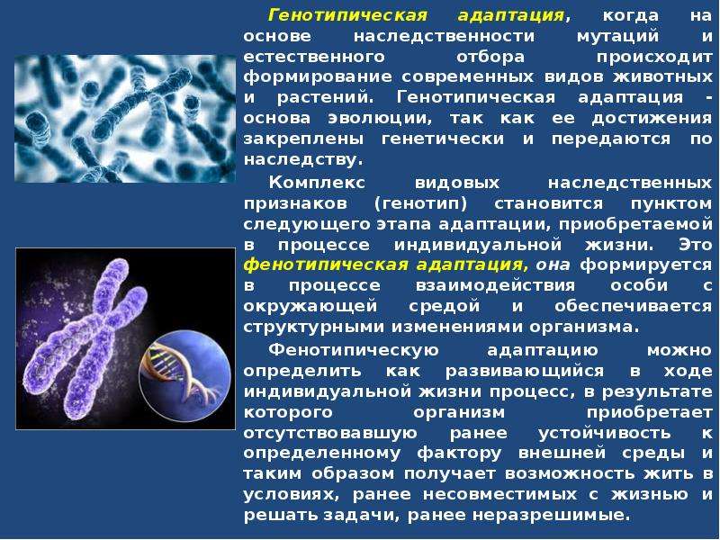 Биологическая презентация