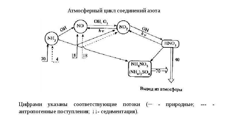 Превращение соединений азота. Атмосферный цикл соединений азота. Схехема соединений для азота. Цикл с азотом соединение. Схема подключения азота.