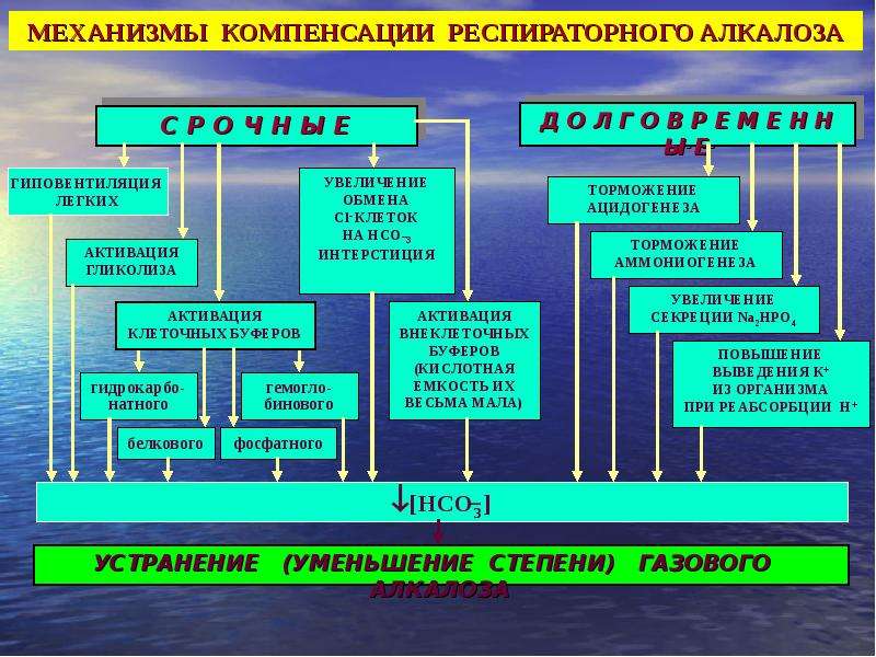 Механизм компенсации. Механизм компенсации газового алкалоза. Механизмы компенсации респираторного алкалоза. Респираторный алкалоз механизм. Механизмы компенсации метаболического алкалоза.