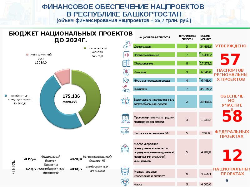 Самый большой по объему национальный проект